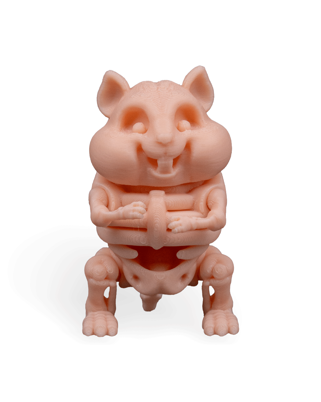 Hamster Esquelético Articulado