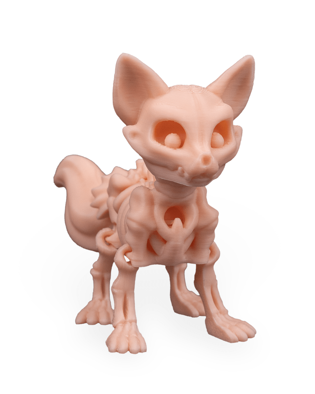 Raposa Esquelética Articulada