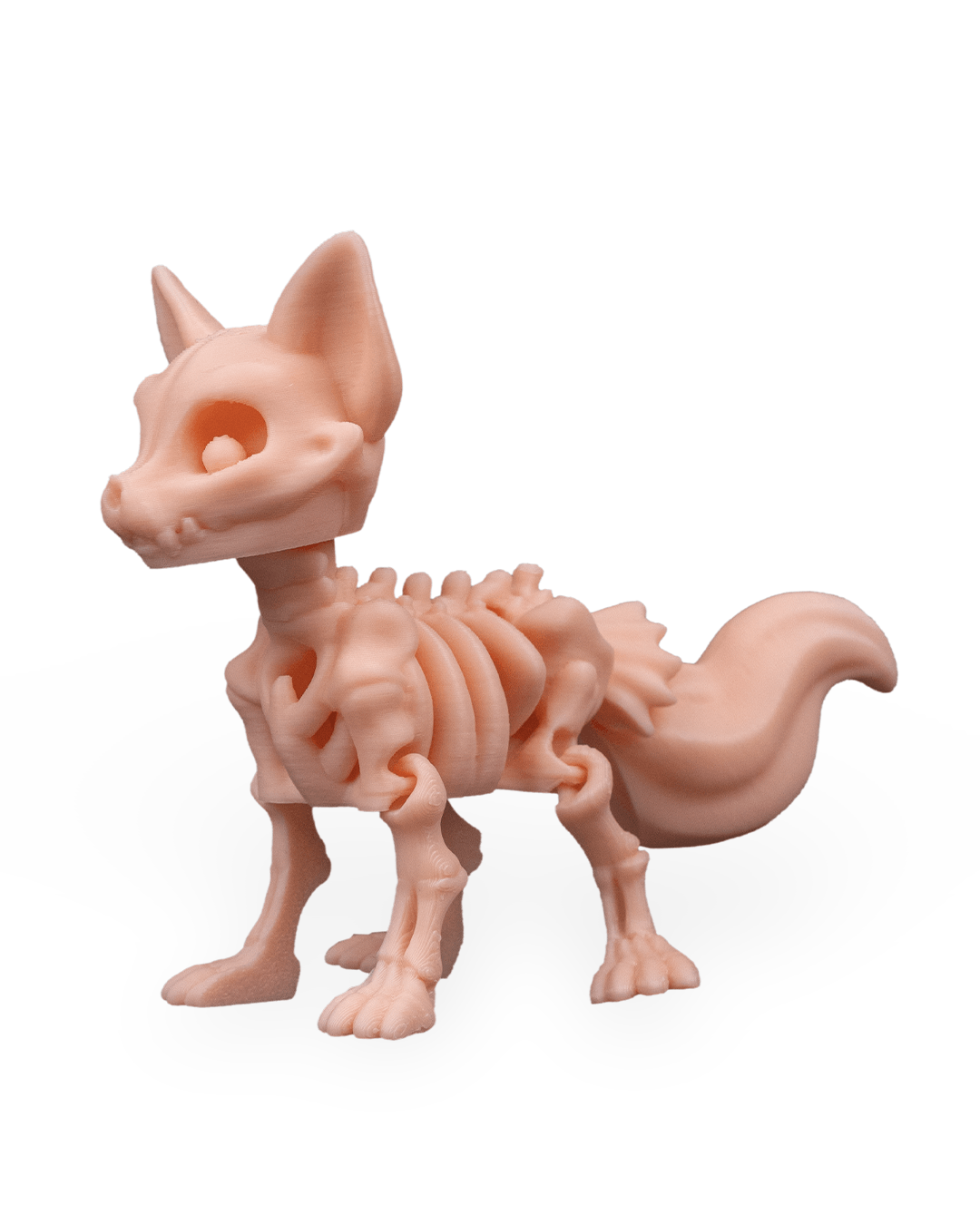 Raposa Esquelética Articulada