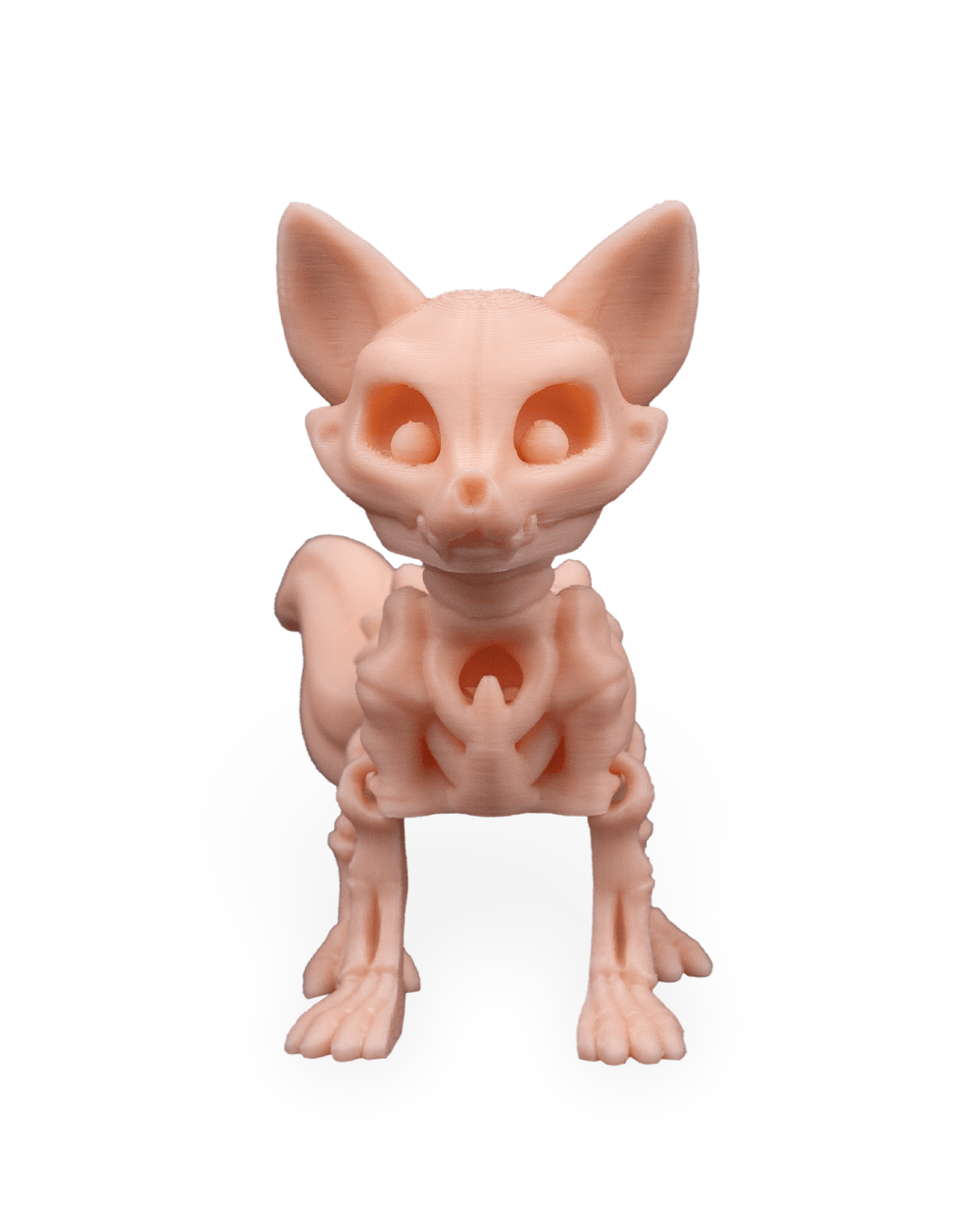 Raposa Esquelética Articulada