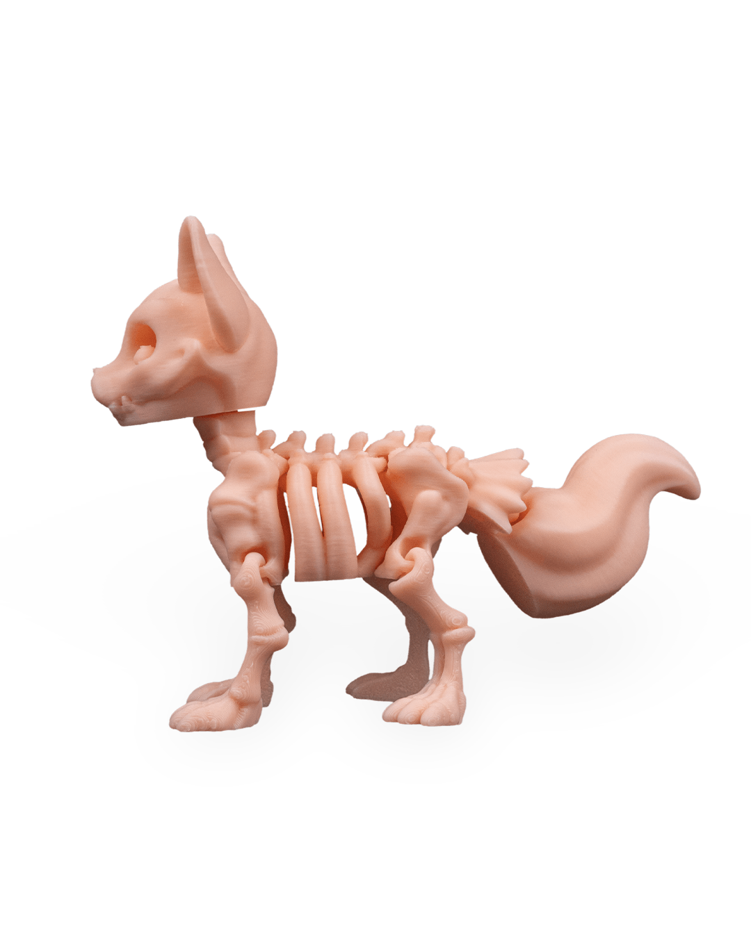 Raposa Esquelética Articulada