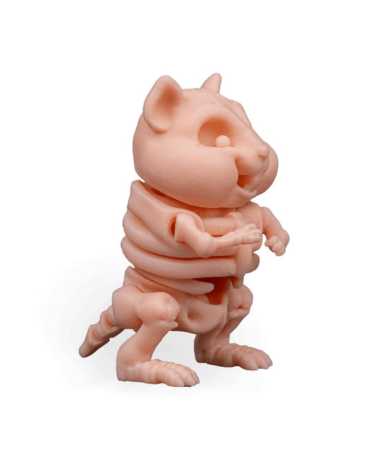 Hamster Esquelético Articulado