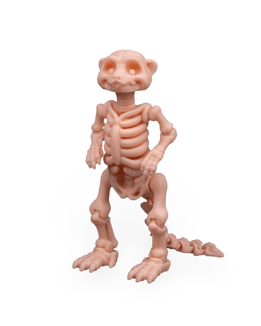 Suricata Esquelética Articulada