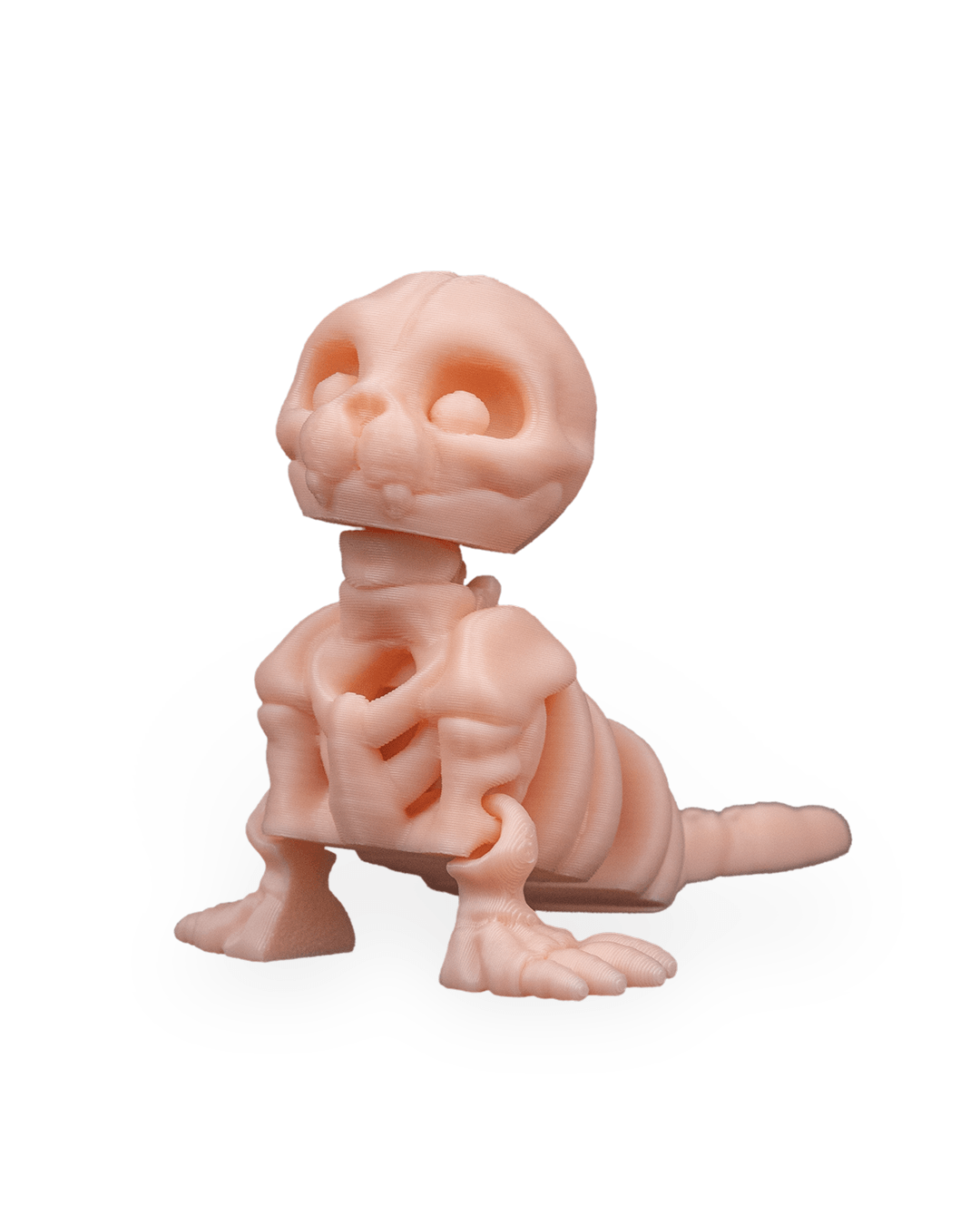 Foca Esquelética Articulada