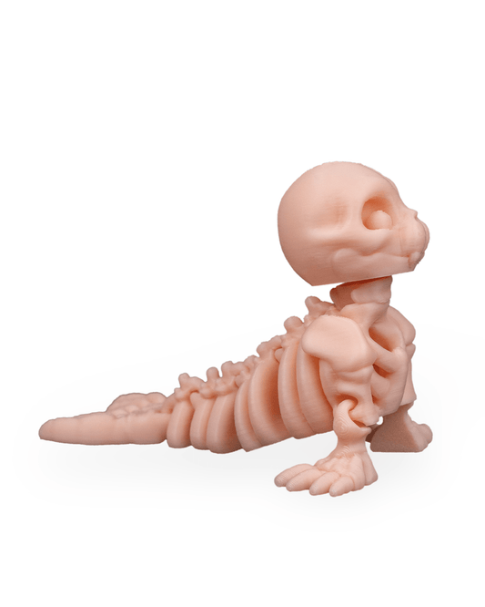 Foca Esquelética Articulada