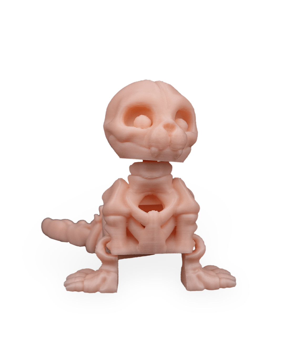 Foca Esquelética Articulada