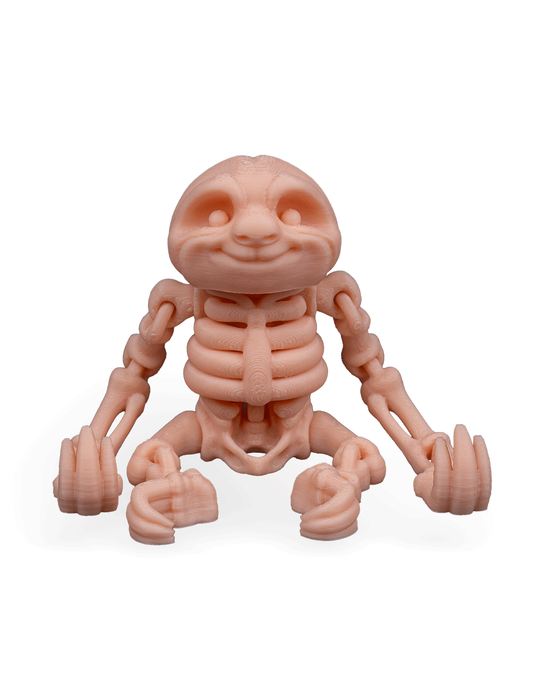 Bicho-Preguiça Esquelético Articulado