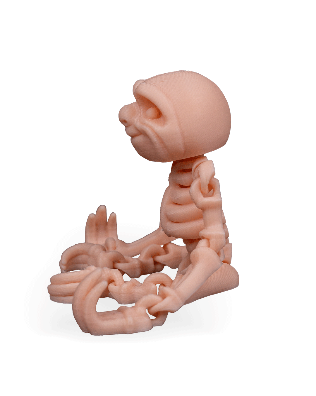 Bicho-Preguiça Esquelético Articulado